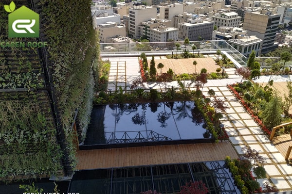 Suitable plants for roof garden roofing